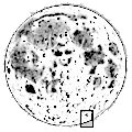 75.JPG (16478 byte)